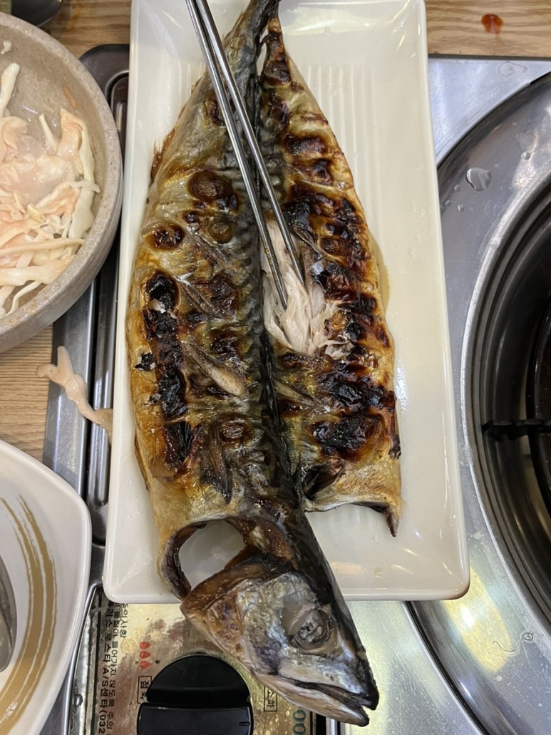술딴지 이미지