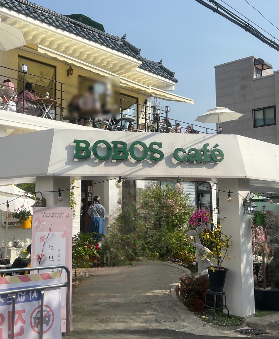 보보스카페 이미지