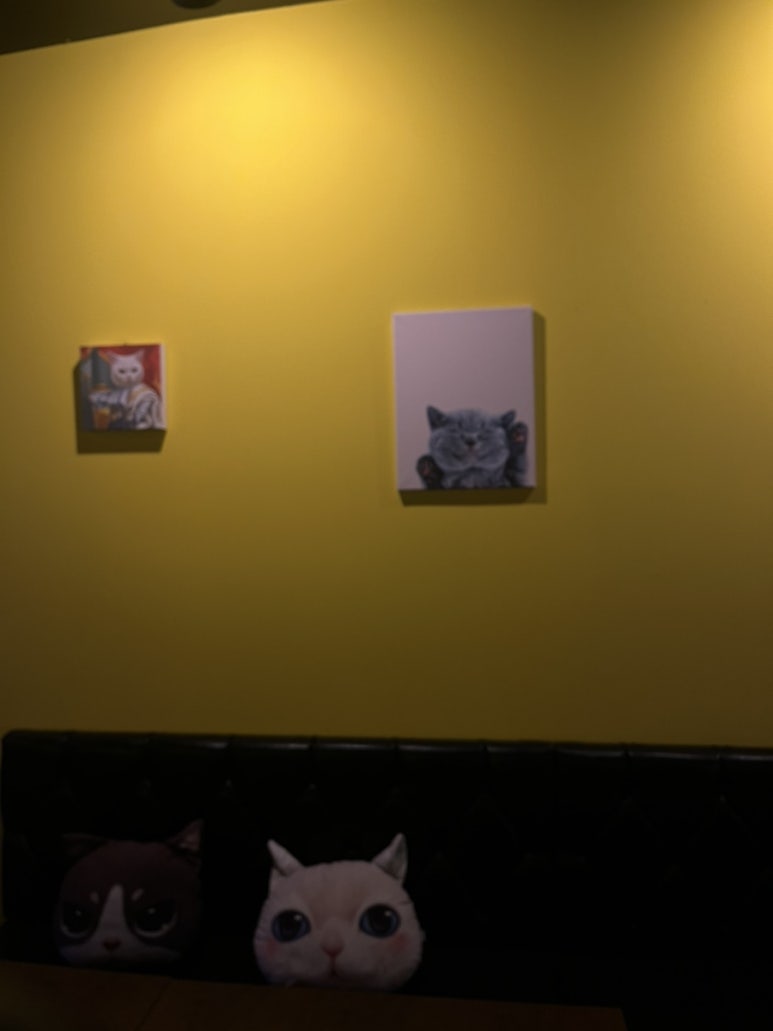 바달마실 이미지