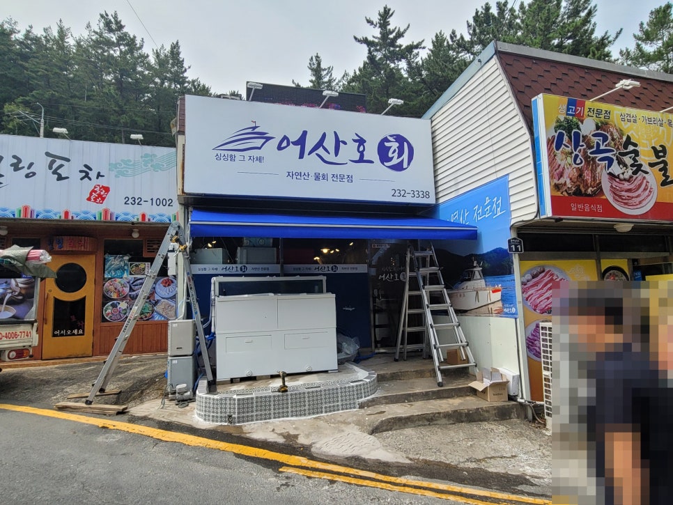 어산호 이미지