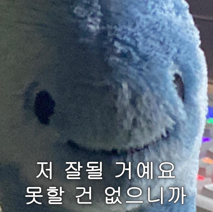 씨스테이 이미지
