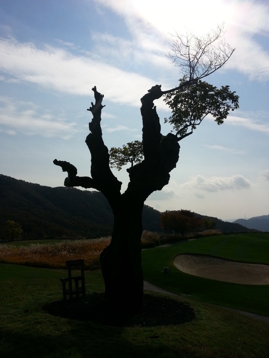 지상의양식 이미지