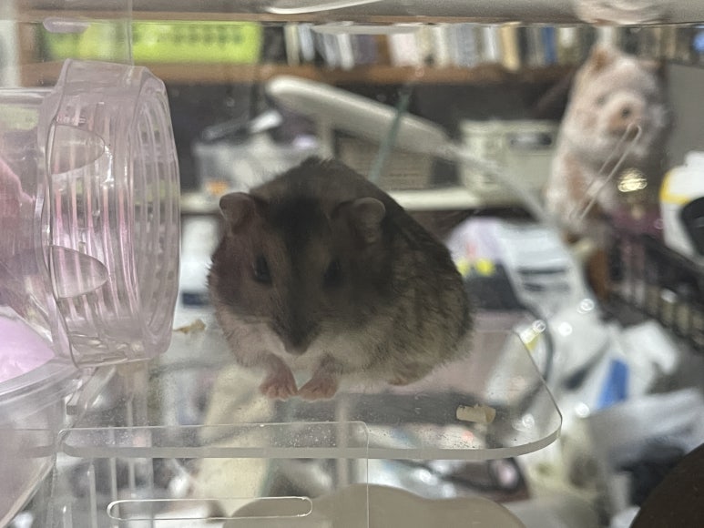 몸치댄스 연습실 이미지