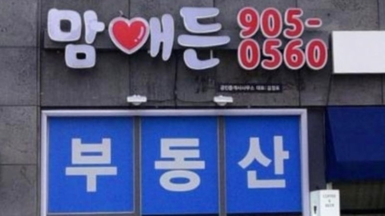 삼우기술단 이미지