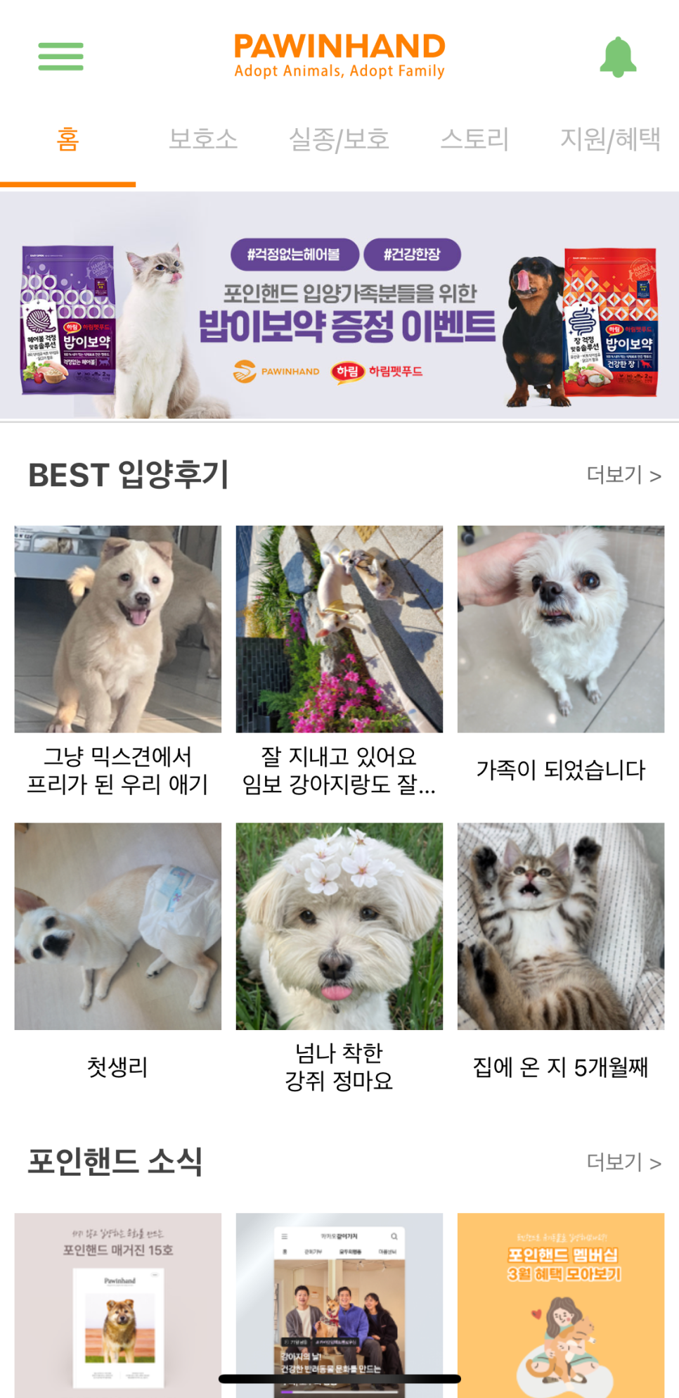 포인사이트 이미지