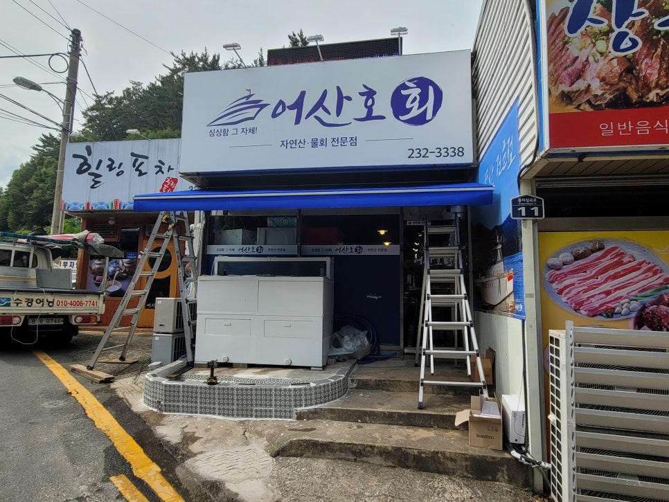 어산호 이미지