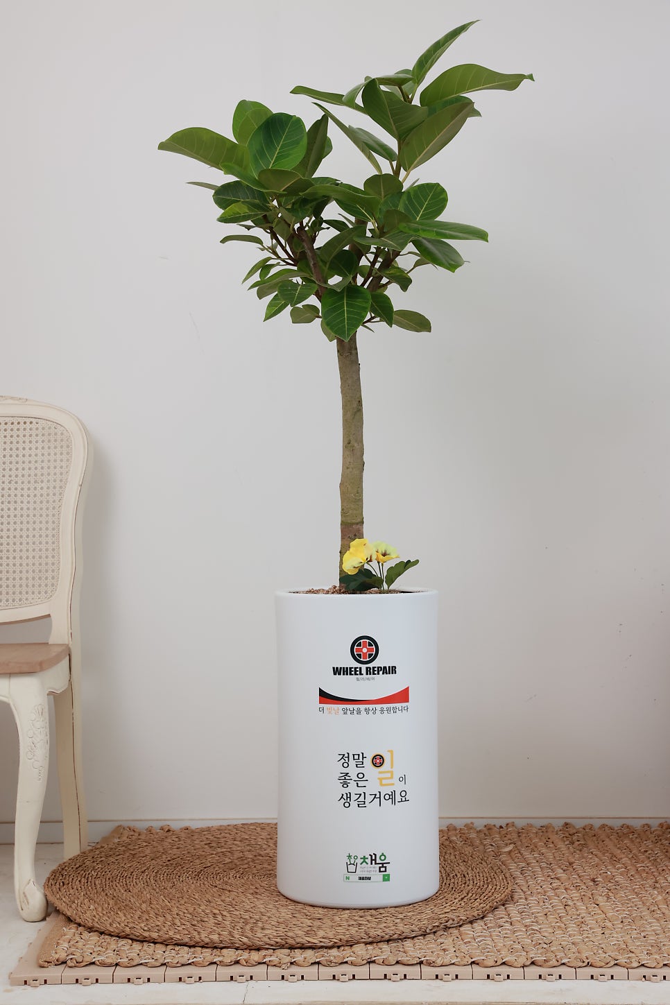 휠리페어 이미지