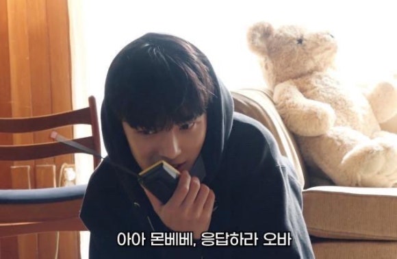 베베한 이미지