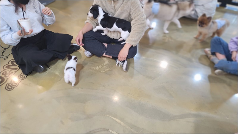 미루카페 이미지
