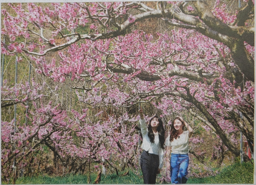 (주)견우푸드 이미지