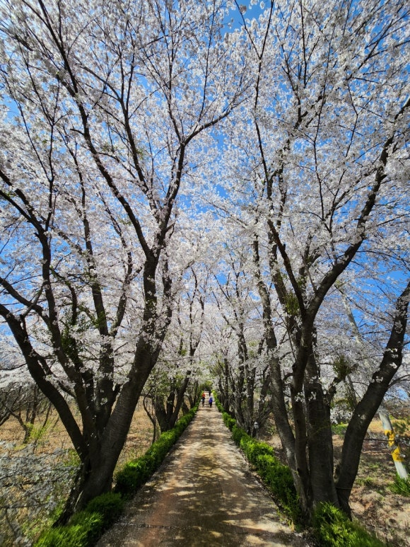 감리교회 옆 이미지