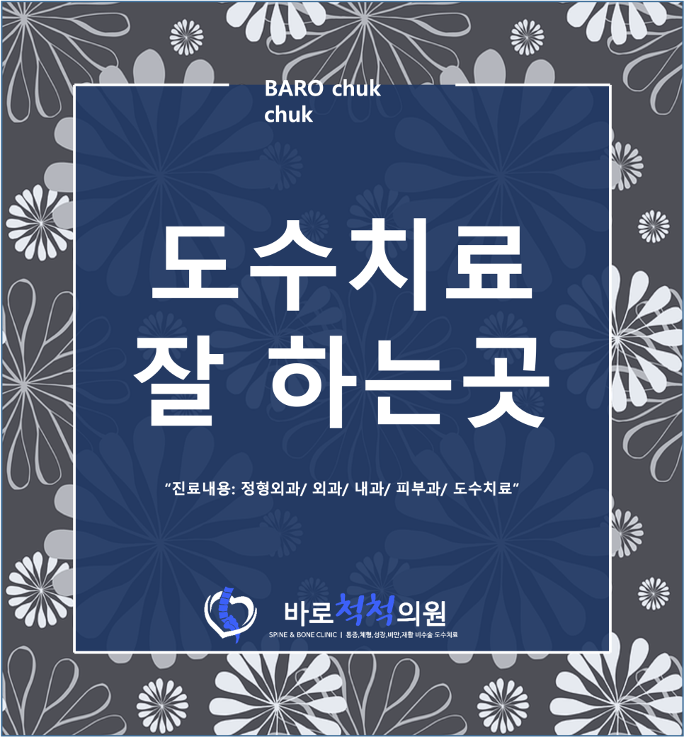 척척의원 이미지