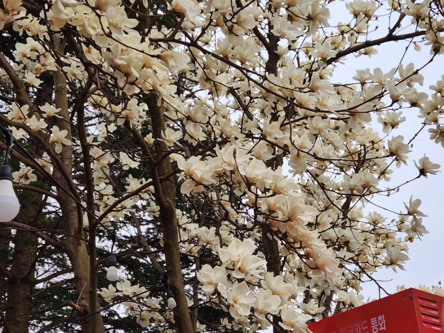 하모리갤러리 이미지