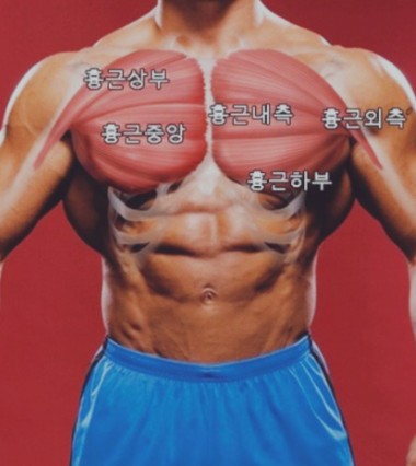 극동헬스 이미지