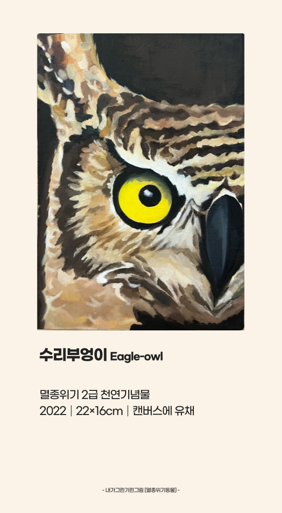 까드로 이미지