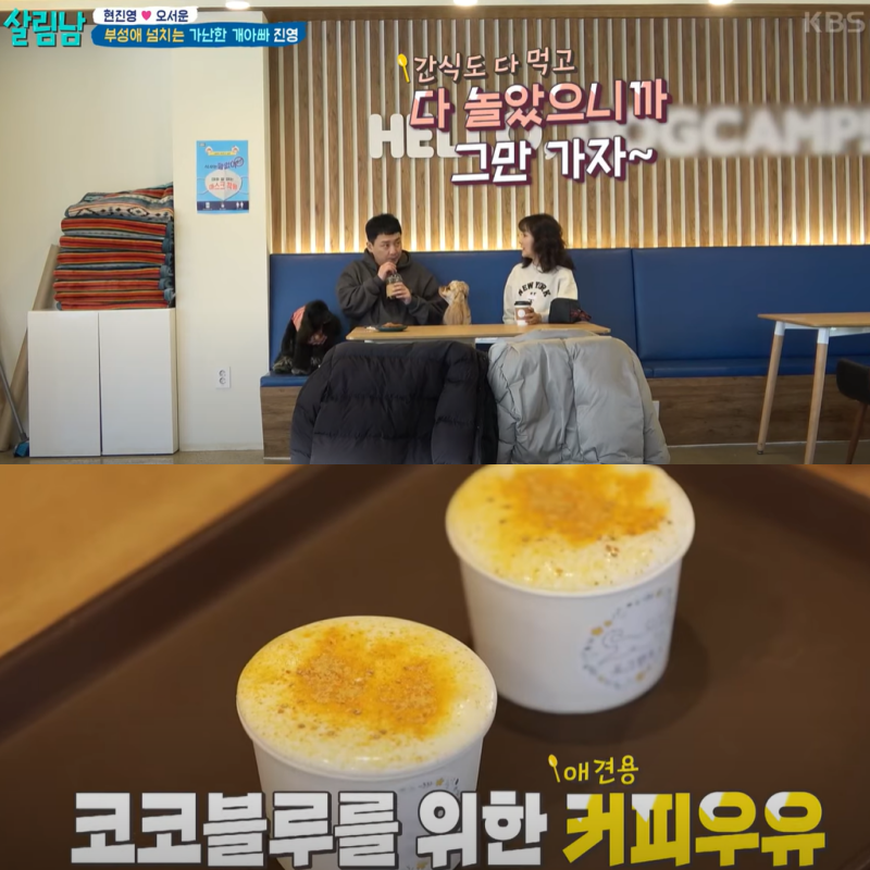 김포 애견카페 도그캠프, 현진영 방문 후기 및 비용 안내 — 사진 2