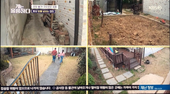 와이이피 이미지