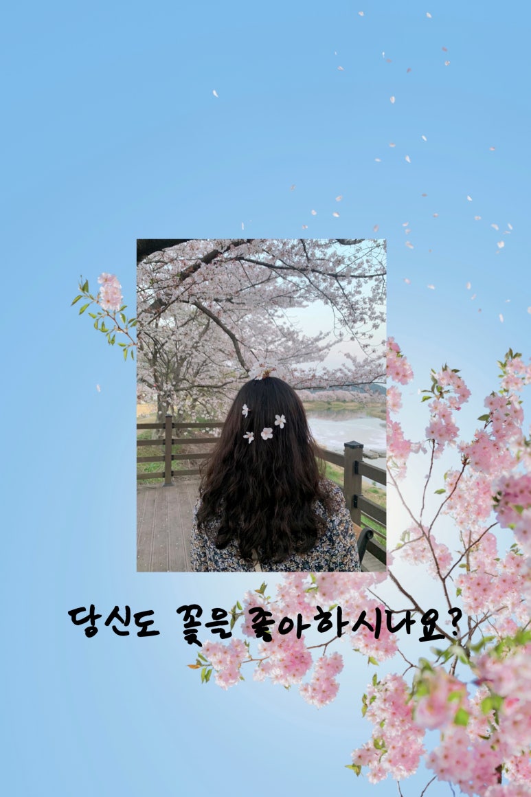 스윗비터 이미지