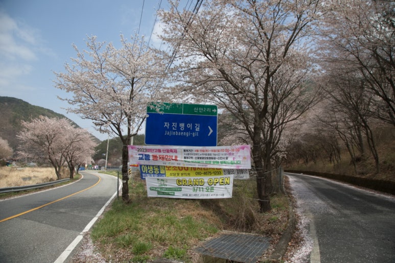 산꽃벚꽃오토캠핑장 이미지
