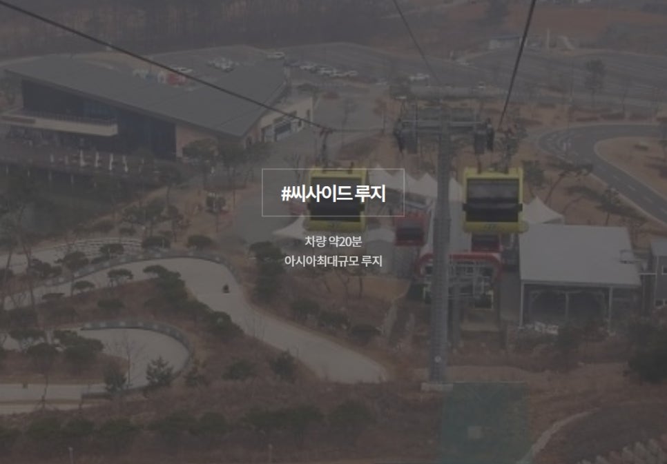 와서뭐하니 이미지