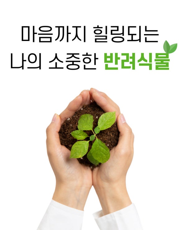 원예하우징 이미지