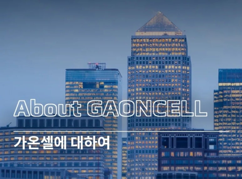 가온글로벌 주식회사 이미지