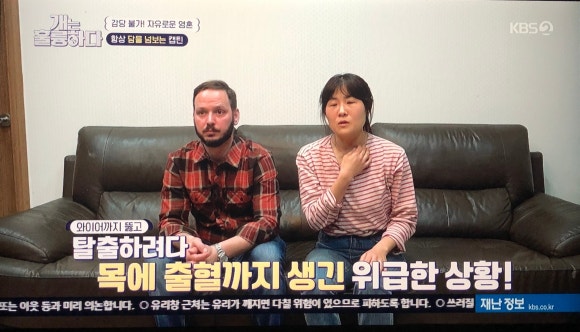 와이이피 이미지