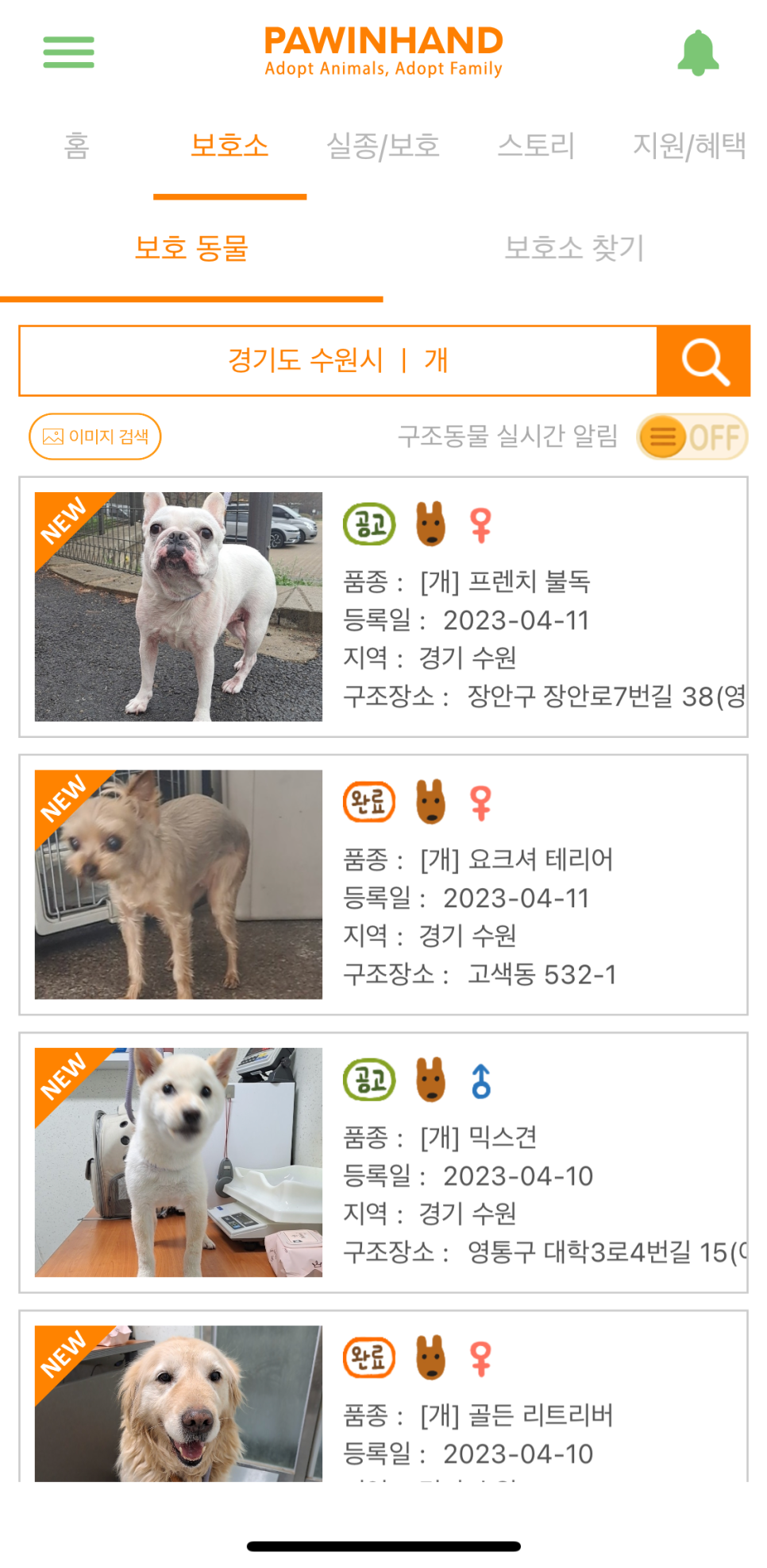 포인사이트 이미지