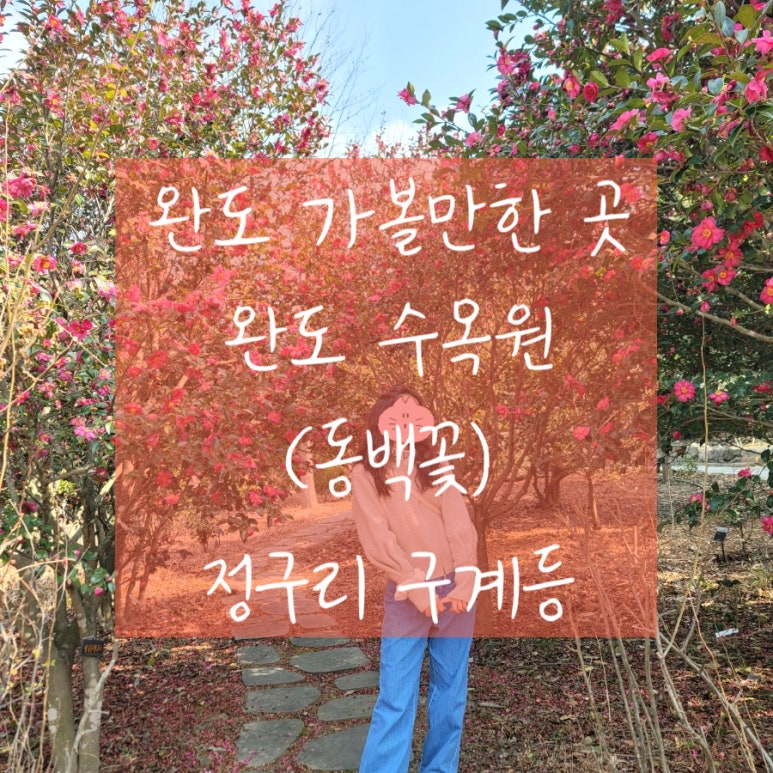 정도리펜션 이미지