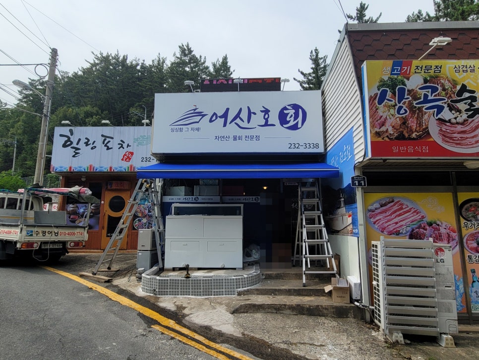 어산호 이미지