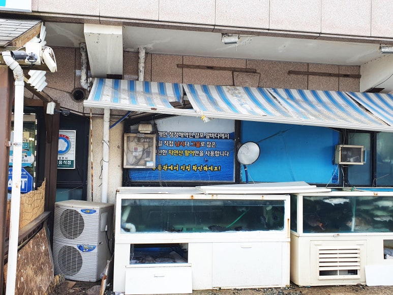 청정바다회센타식당 이미지