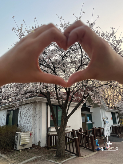 늘품막국수 이미지