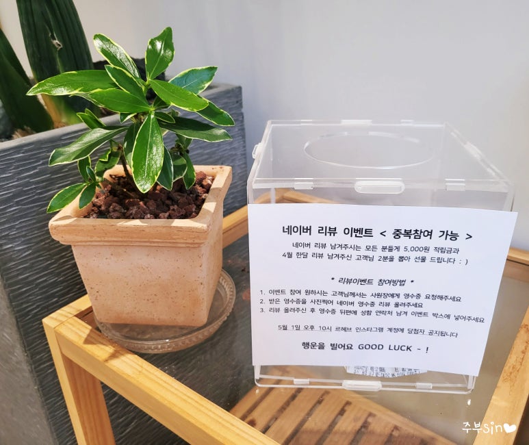 리헤브 이미지