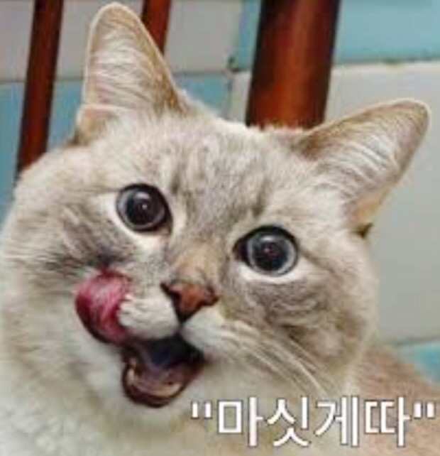 착한분식 이미지