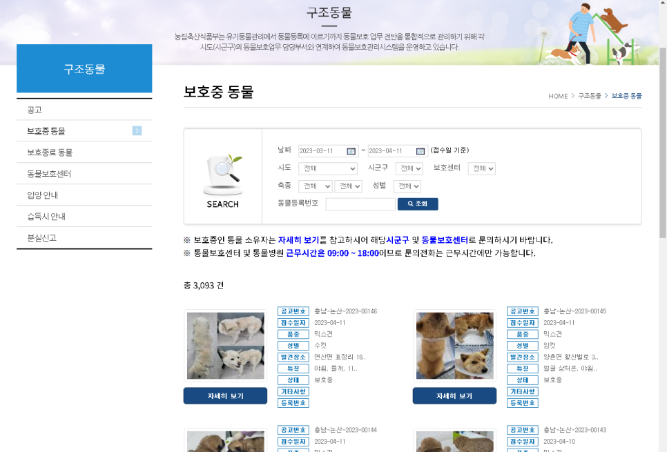 포인사이트 이미지
