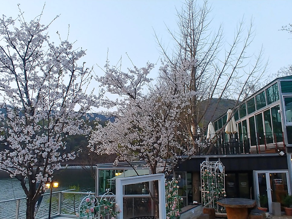 물댄동산 이미지