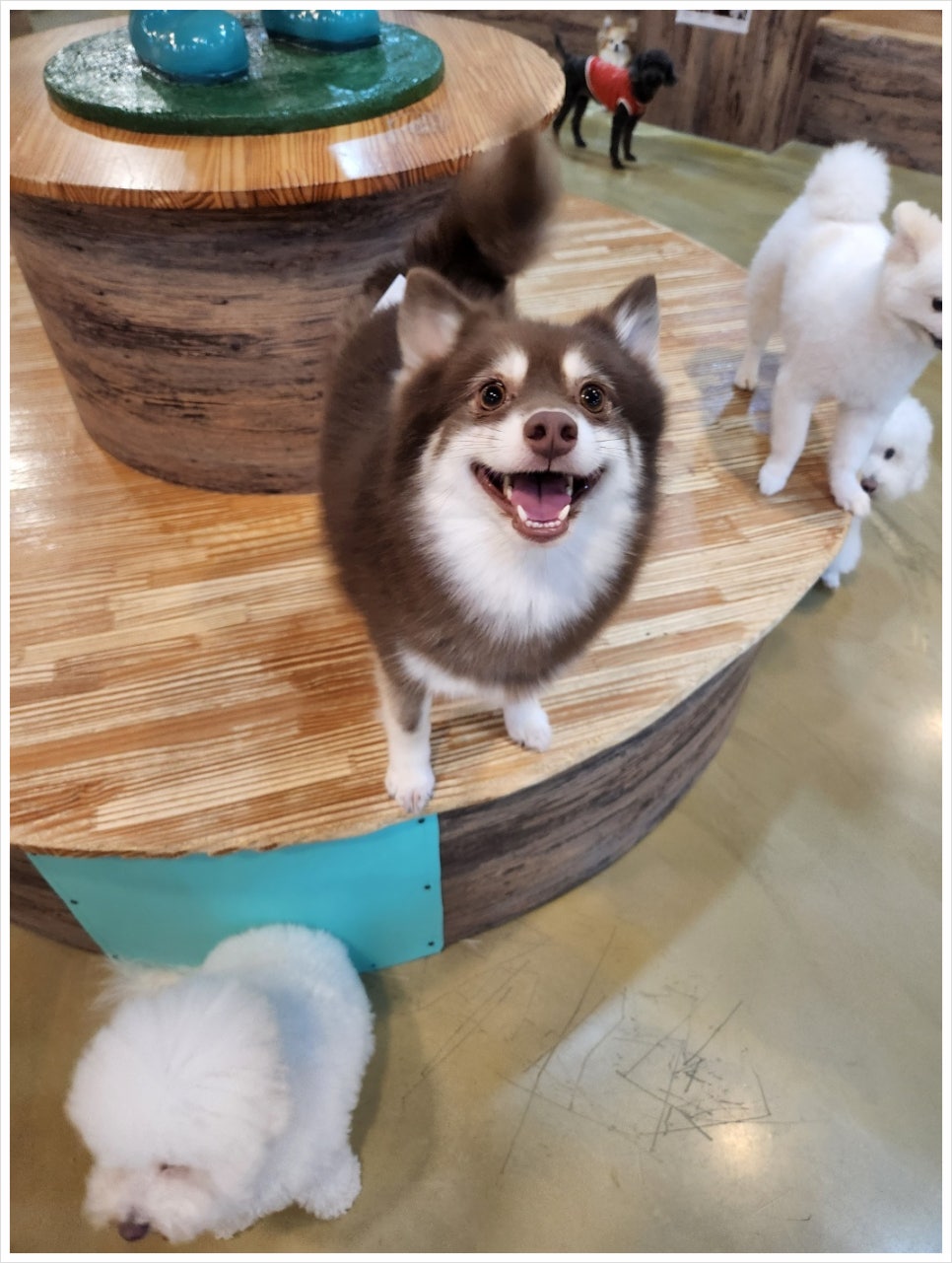 미루카페 이미지