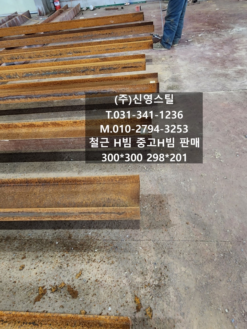 단빔 이미지