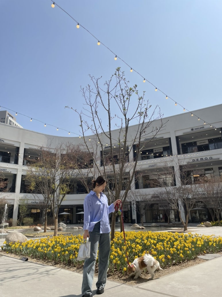 마논테 이미지
