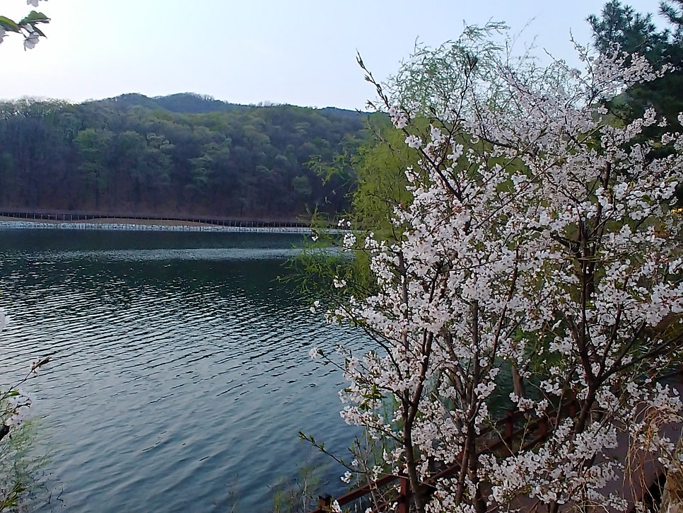 물댄동산 이미지