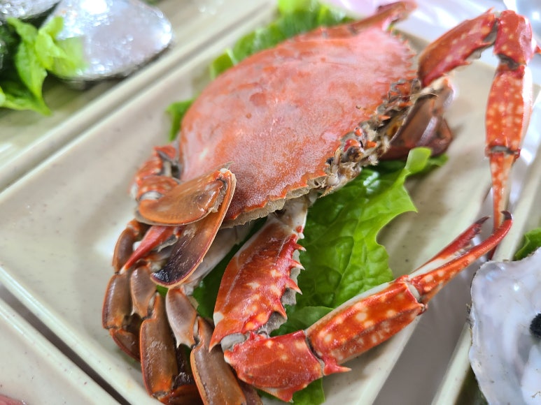 바다냠냠 이미지