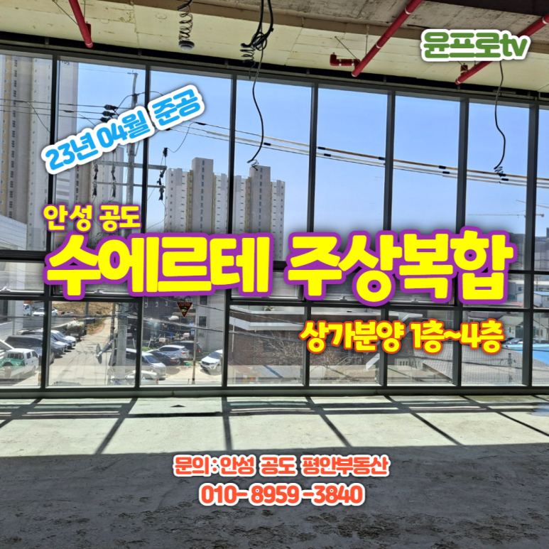 수에르테 이미지
