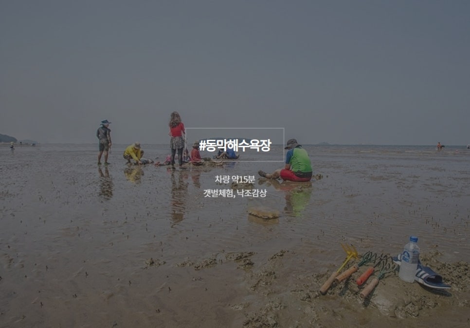 와서뭐하니 이미지