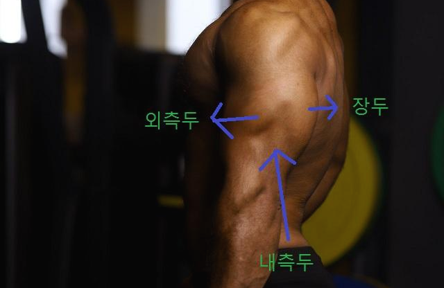 신드롬PT스튜디오신정역 이미지