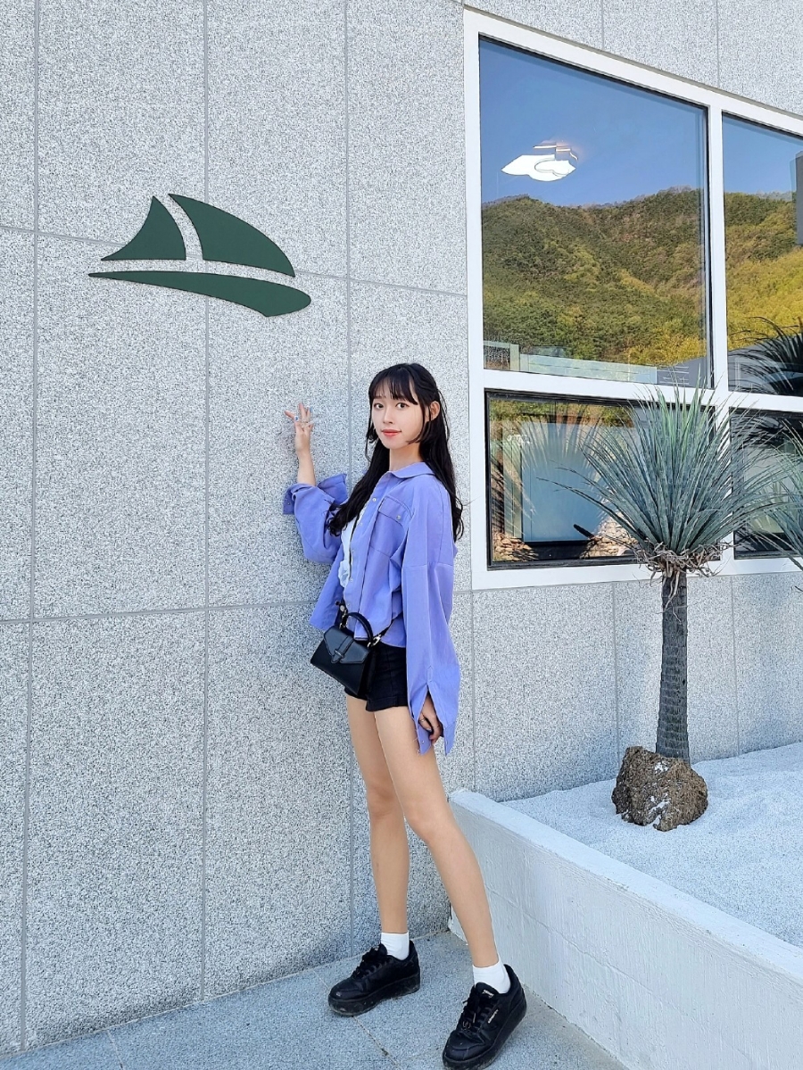 바토플루이르 송해 이미지