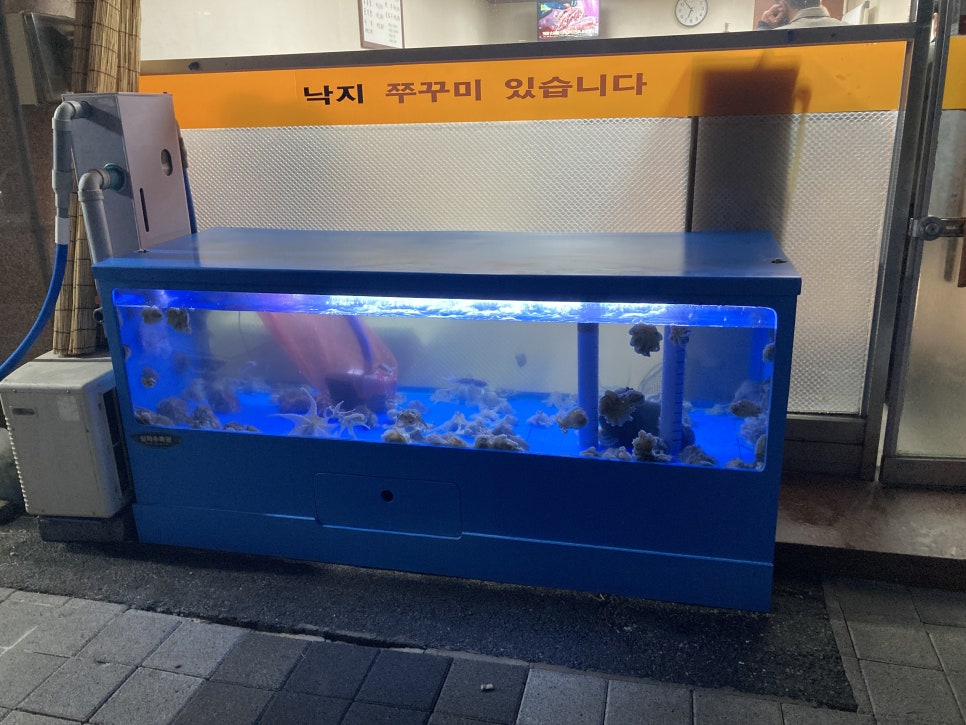 일미쭈꾸미 이미지