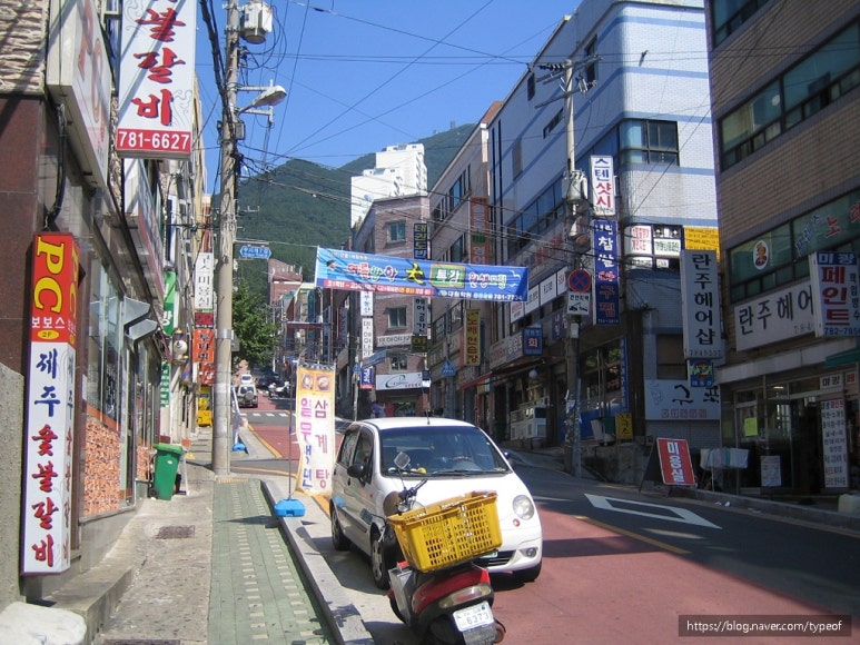 장미이용원 이미지