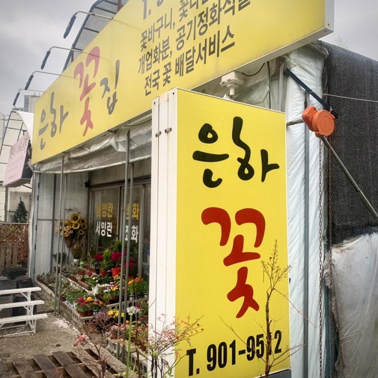 은하꽃집 이미지