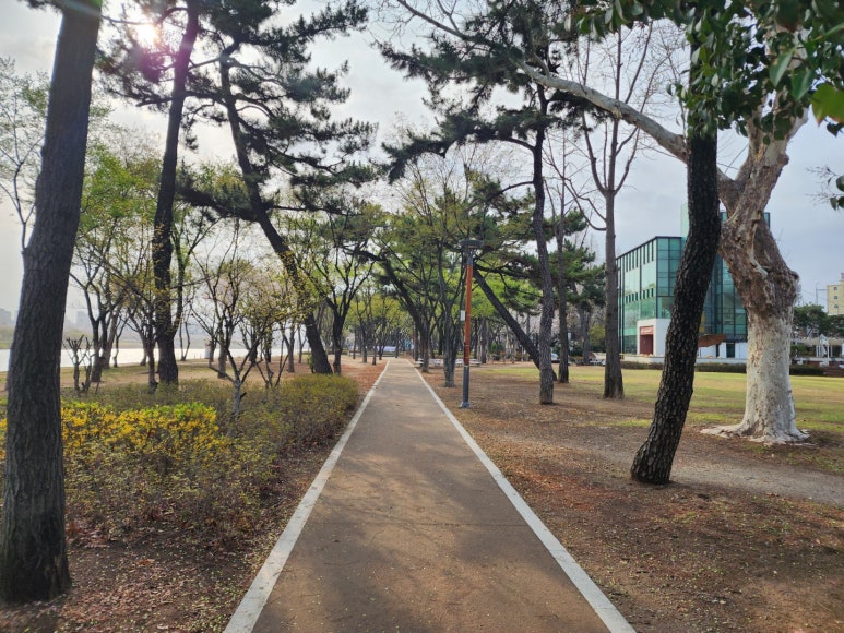 강라행정사사무소 이미지