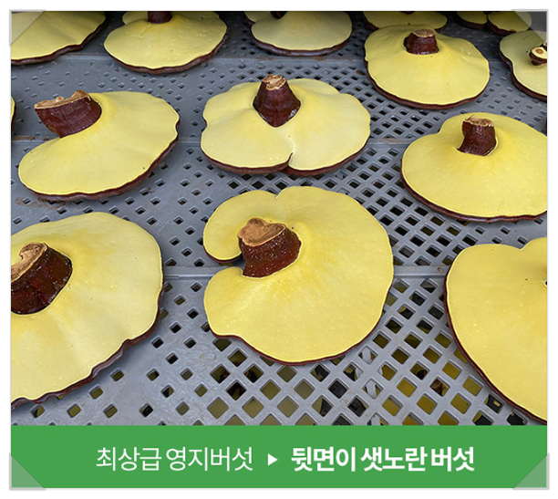 관우식품 이미지
